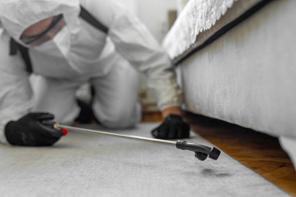 Professional Ant Control technician working in McGuire AFB, NJ