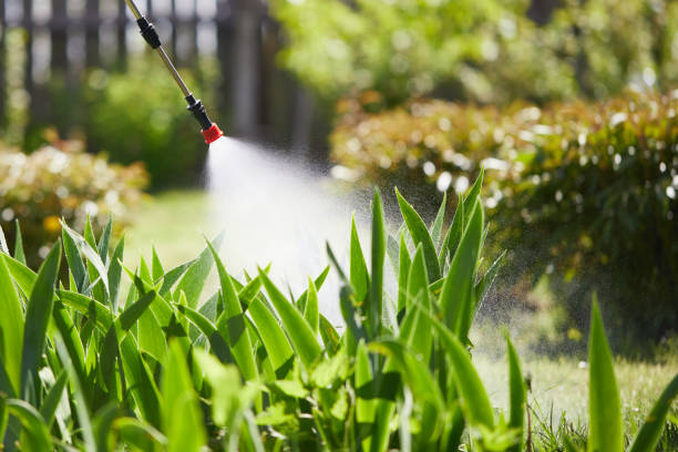 24/7 Emergency Ant Control experts in McGuire AFB, NJ