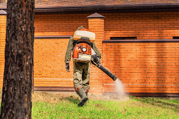 Top rated local Ant Control specialists in McGuire AFB, NJ